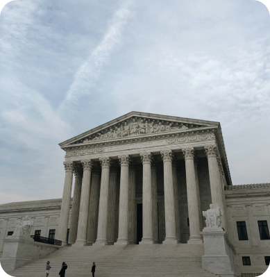 Public Sector and Government