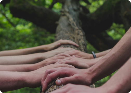 Social impact and inclusion