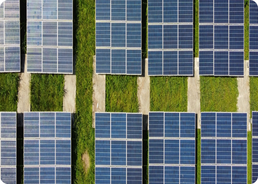 Environmental responsibility